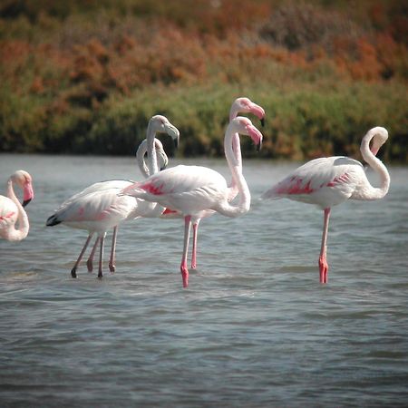 Alojamiento Rural Coto De La Isleta เอลปูแอร์โต เด ซานตามาริอา ภายนอก รูปภาพ