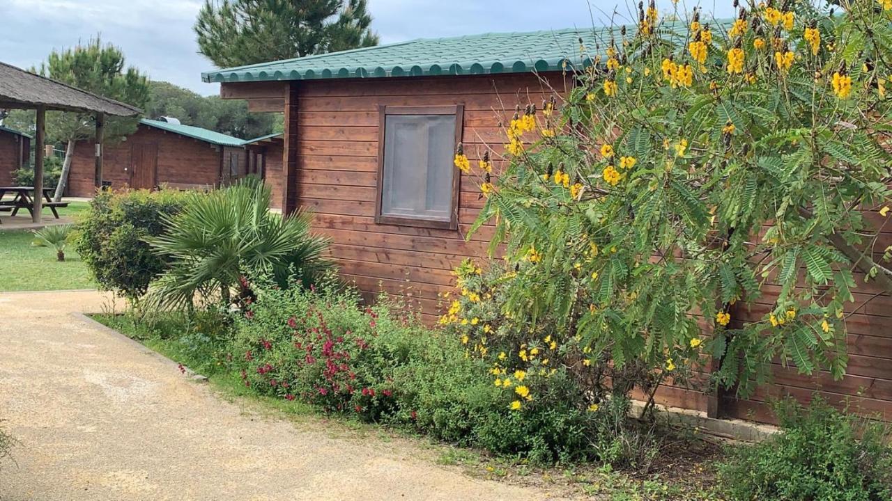 Alojamiento Rural Coto De La Isleta เอลปูแอร์โต เด ซานตามาริอา ภายนอก รูปภาพ