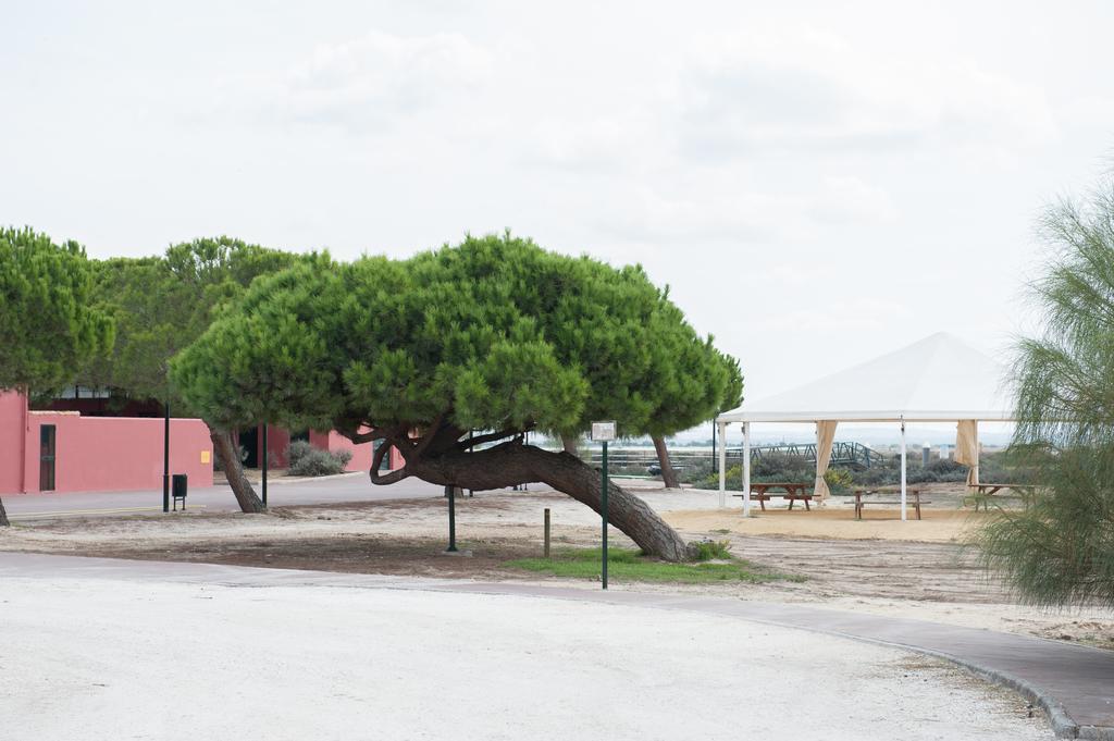 Alojamiento Rural Coto De La Isleta เอลปูแอร์โต เด ซานตามาริอา ภายนอก รูปภาพ