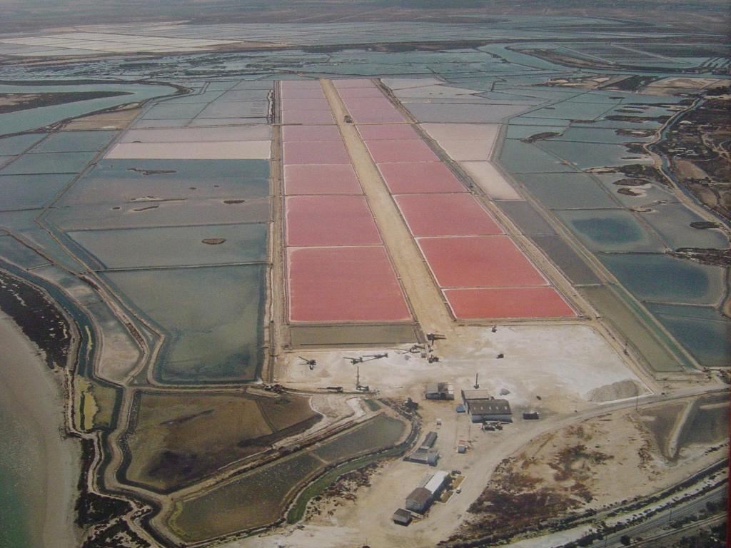 Alojamiento Rural Coto De La Isleta เอลปูแอร์โต เด ซานตามาริอา ภายนอก รูปภาพ