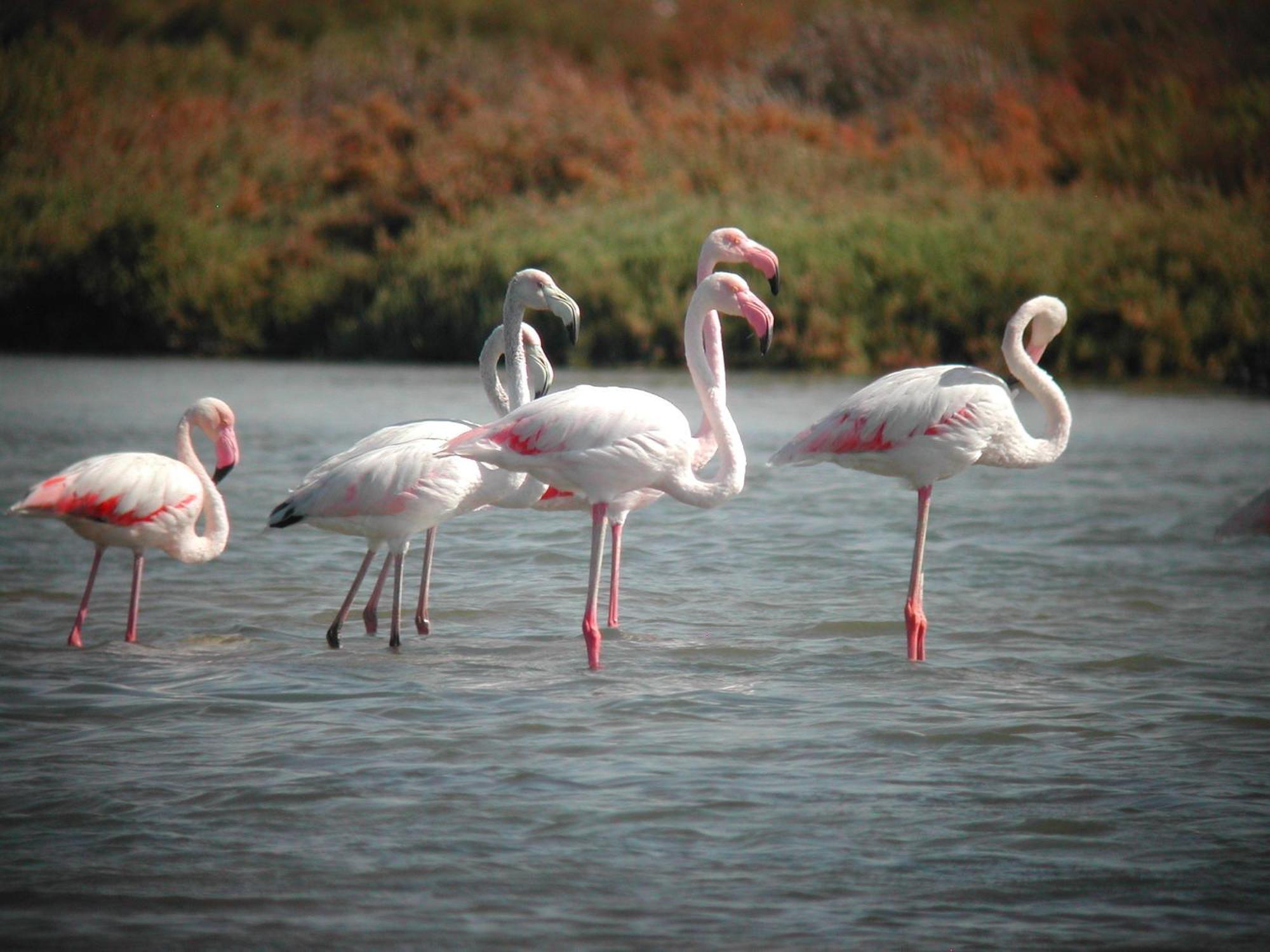 Alojamiento Rural Coto De La Isleta เอลปูแอร์โต เด ซานตามาริอา ภายนอก รูปภาพ