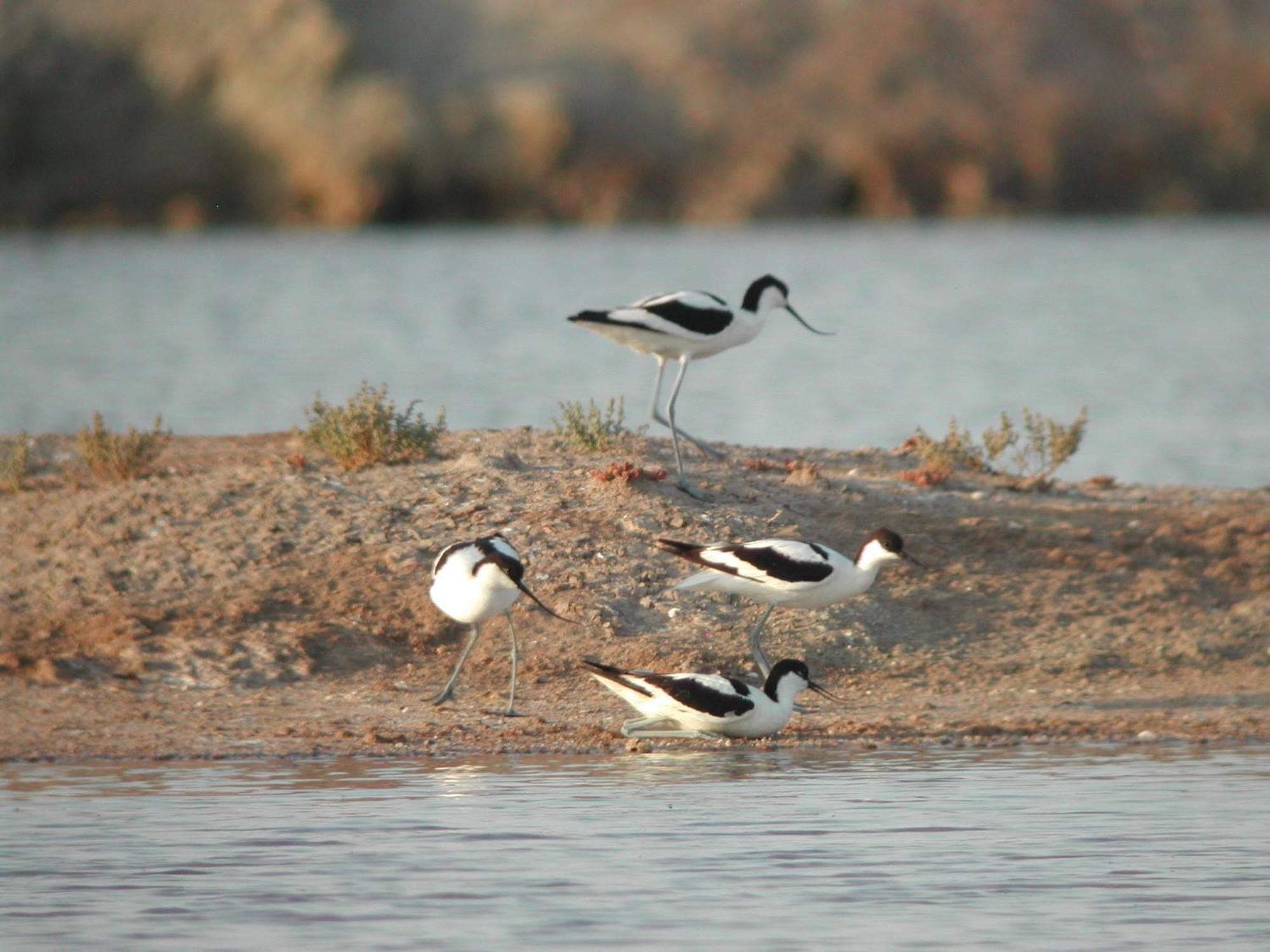 Alojamiento Rural Coto De La Isleta เอลปูแอร์โต เด ซานตามาริอา ภายนอก รูปภาพ